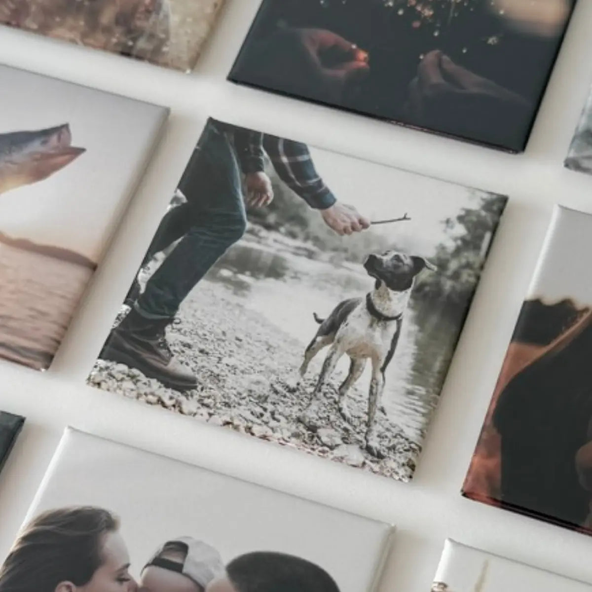 Why Custom Pet Photo Magnets Make the Sweetest Everyday Gift (That Pets Would Approve Of… Probably)