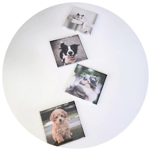Custom pet photo magnet gifts or keepsake personalized with your pictures. Make great gift or keepsake of your best furry friend.