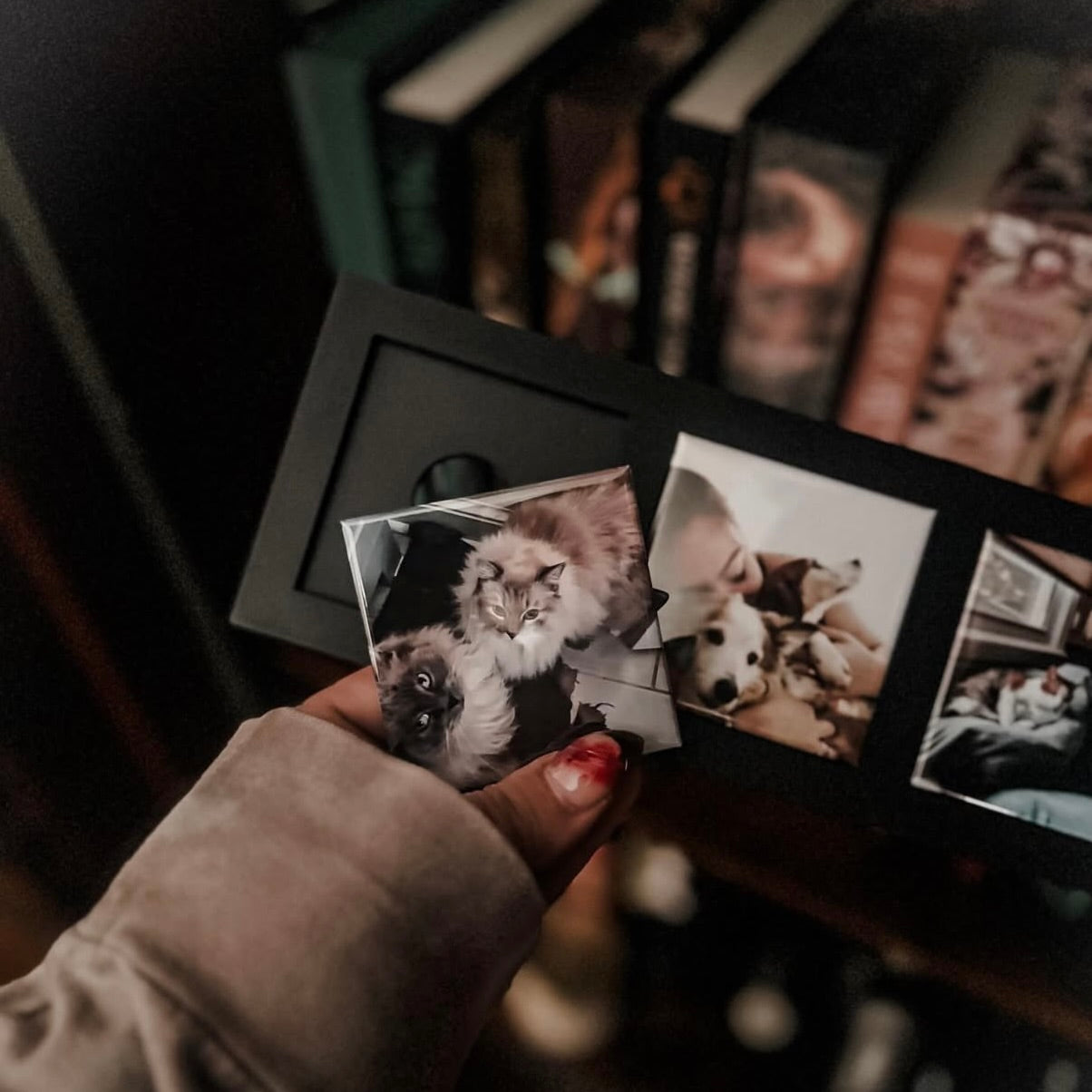 Custom fridge magnet frame for 3 square magnets displayed with custom pet magnets in a reading room with a moody decor and bookshelf. 