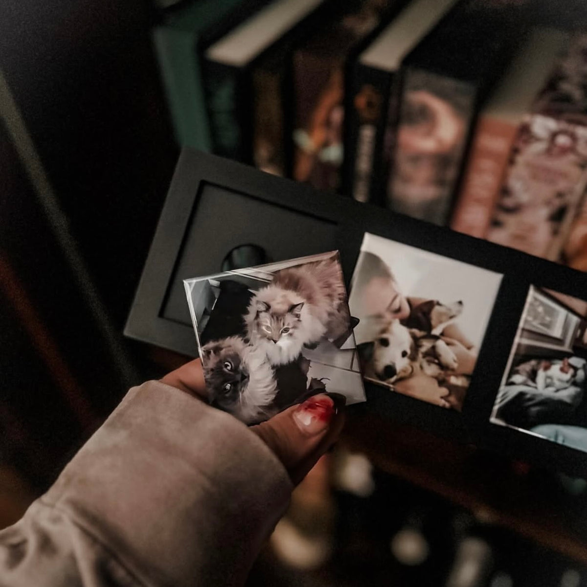 Custom fridge magnet frame for 3 square magnets displayed with custom pet magnets in a reading room with a moody decor and bookshelf. 