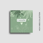 Cannabis love novelty fridge magnet, high vibes collection.