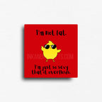 Funny novelty fridge magnet with a yellow chick wearing sunglasses and text on a red background. 